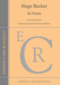 Becker, H: Im Sturm