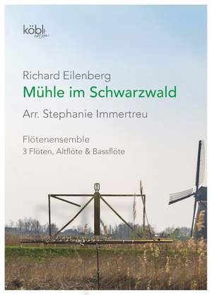 Eilenberg, R: Mühle im Schwarzwald