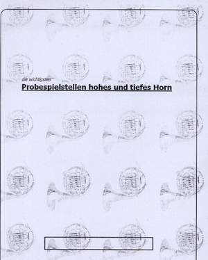 Pflaum, M: Probespielstellen