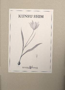 Shim, K: Entwurf einer Landschaft